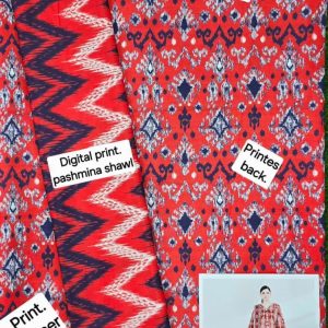 Shaheen Styles 100% Premium Winter Dhanak Collection